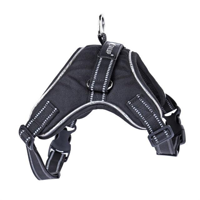 Luminous Canine Collar