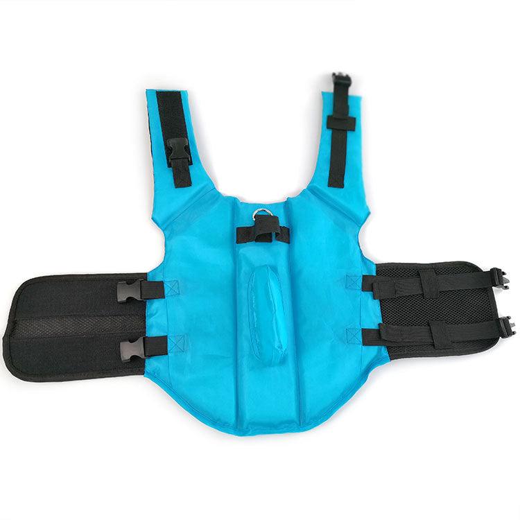 Petfin Swimwear: Stylish And Sporty Life Jacket For Dogs