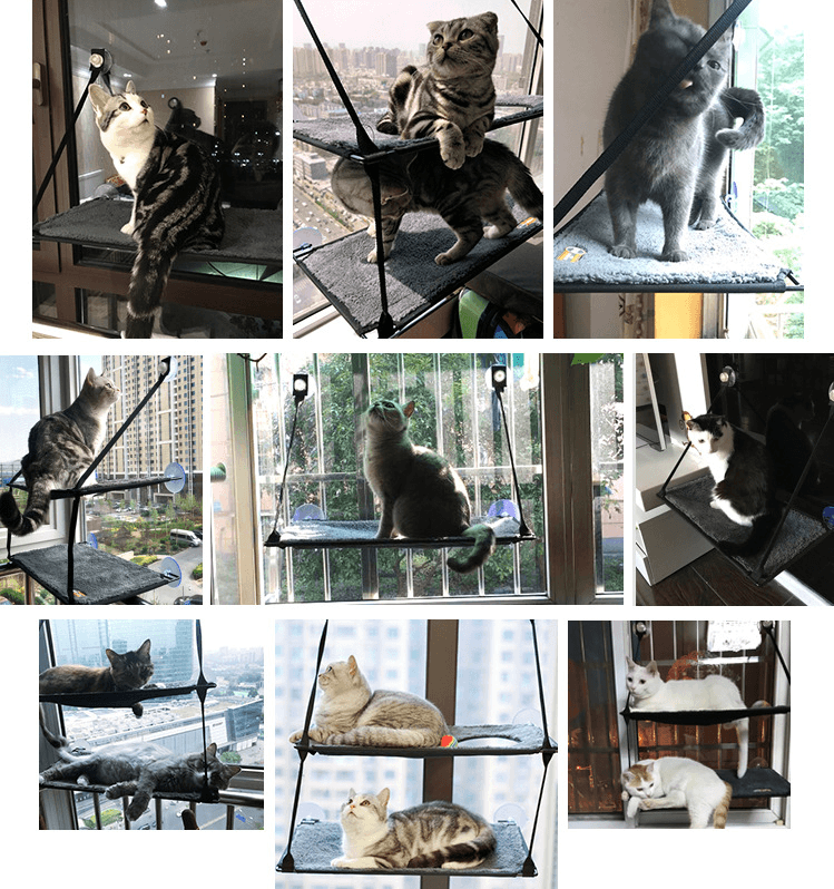 Luxury Cat Hammock Bed With Super Suction Cup - Removable And Washable