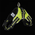 Luminous Canine Collar