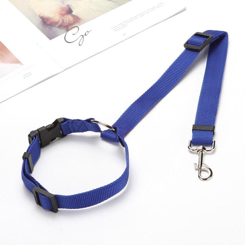 Petsafe Car Safety Leash: Secure And Adjustable Pet Restraint For Rear Seats