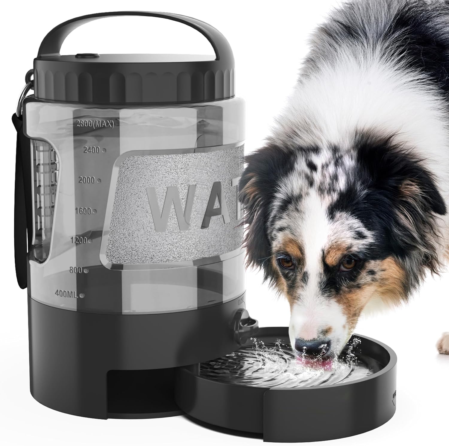95 OZ Dog Travel Water Bottle